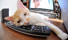 开云体育官方网站-勇士终结独行侠，拉文持续制造杀伤的战术启示