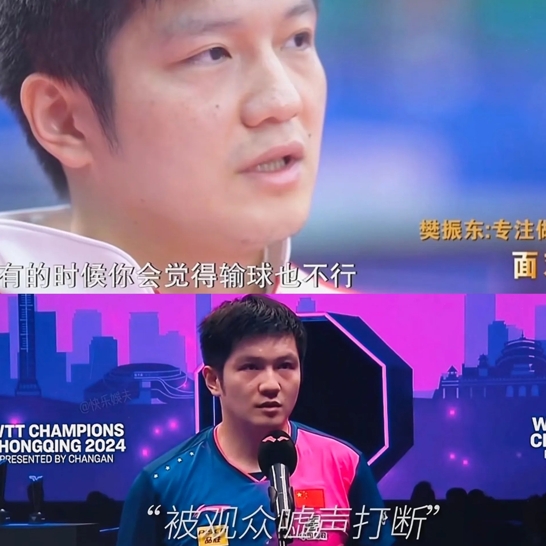 关于波兰队险胜德国队，樊振东高光表现的信息