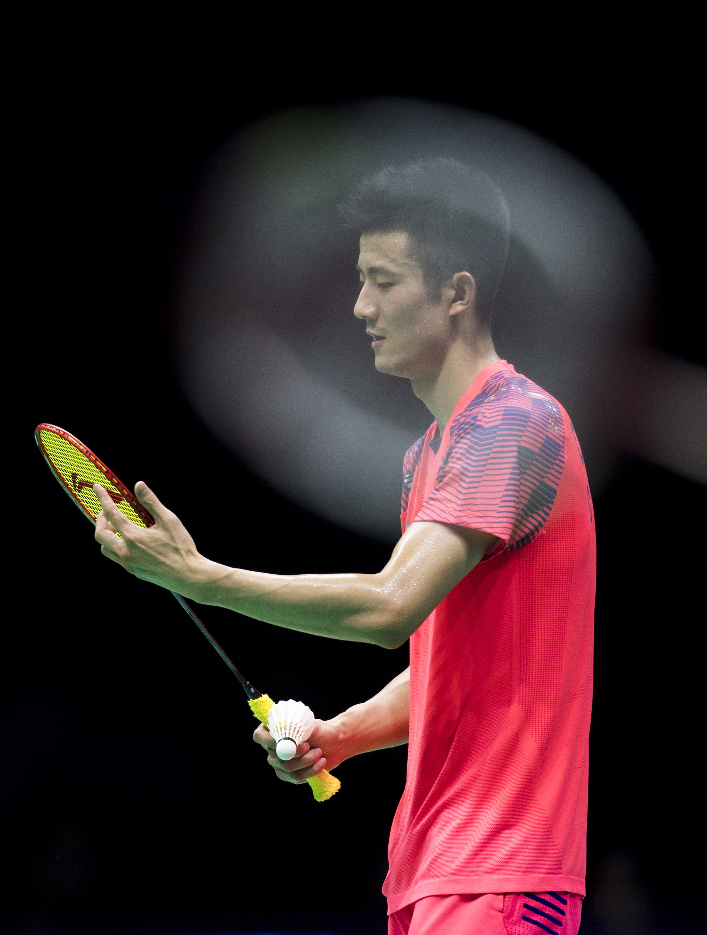 中国羽毛球队血洗丹麦羽毛球队，谌龙一己之力扛起全队的简单介绍