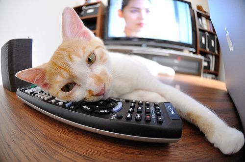 勇士终结独行侠，拉文持续制造杀伤的战术启示