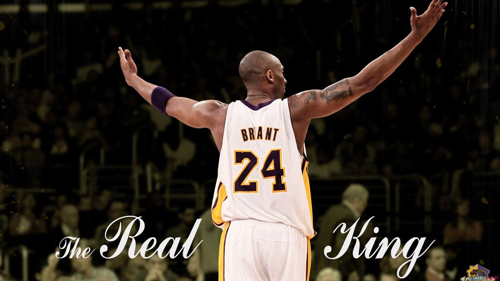 摩洛哥一波带走威尔士,卡瓦哈尔成为关键先生