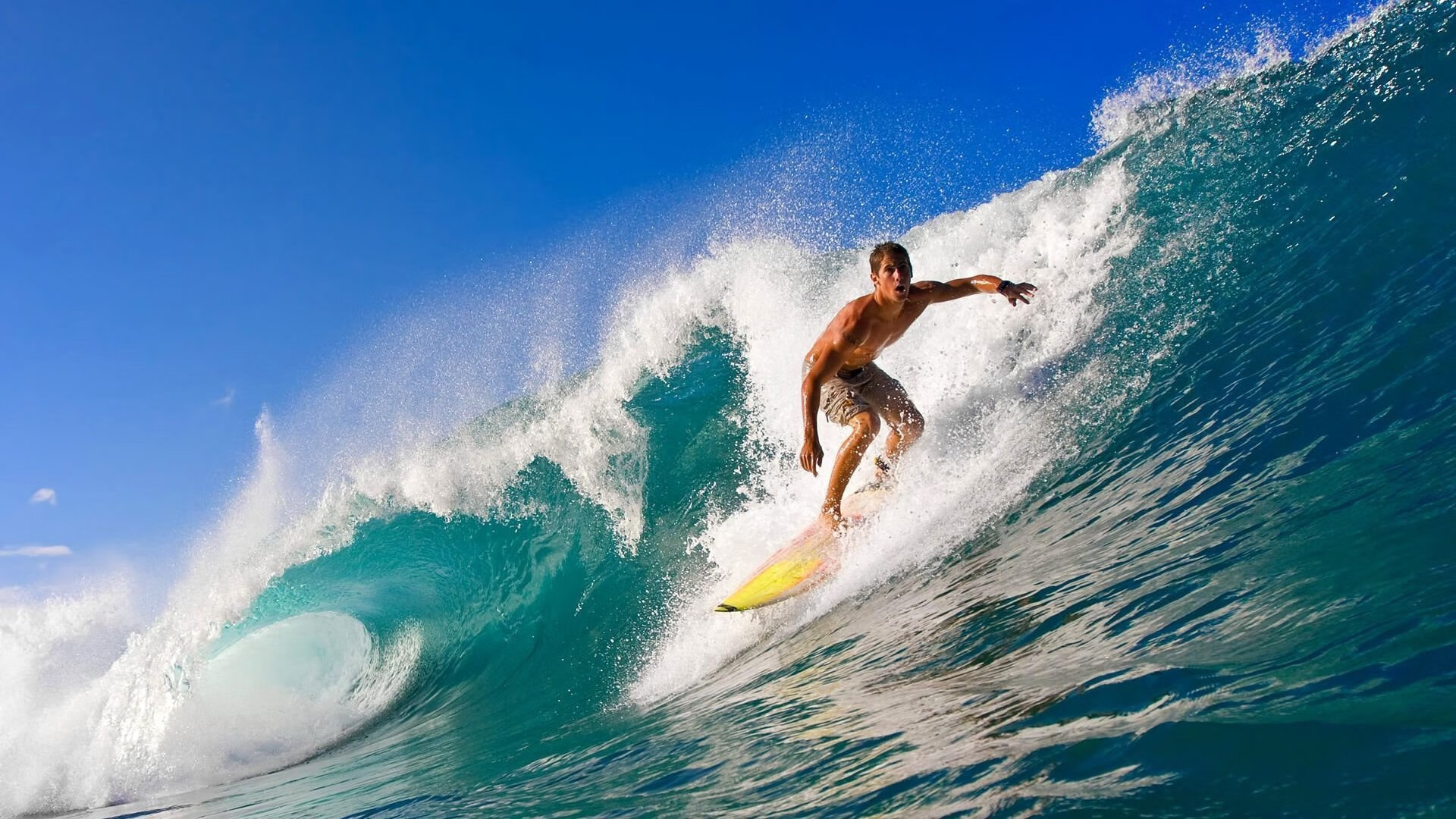 戴维斯杯的荣光,当国家荣耀碾压商业盛宴,德约科维奇点燃的不只是赛场